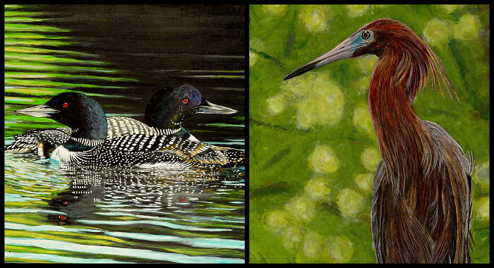 The Animal World Through Barry Levin&rsquo;s Paintbrush