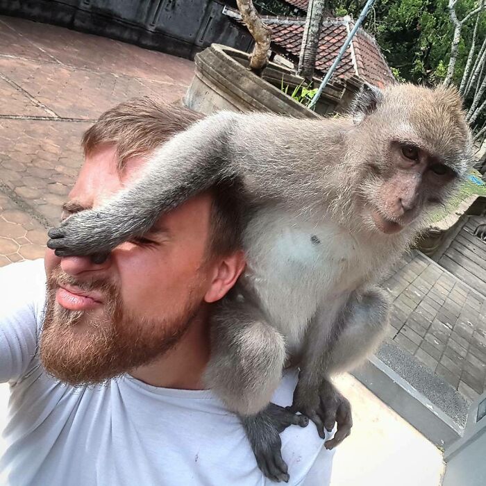 Monkey playfully covering wildlife photographer's eyes while perched on his shoulder during a food-seeking moment.