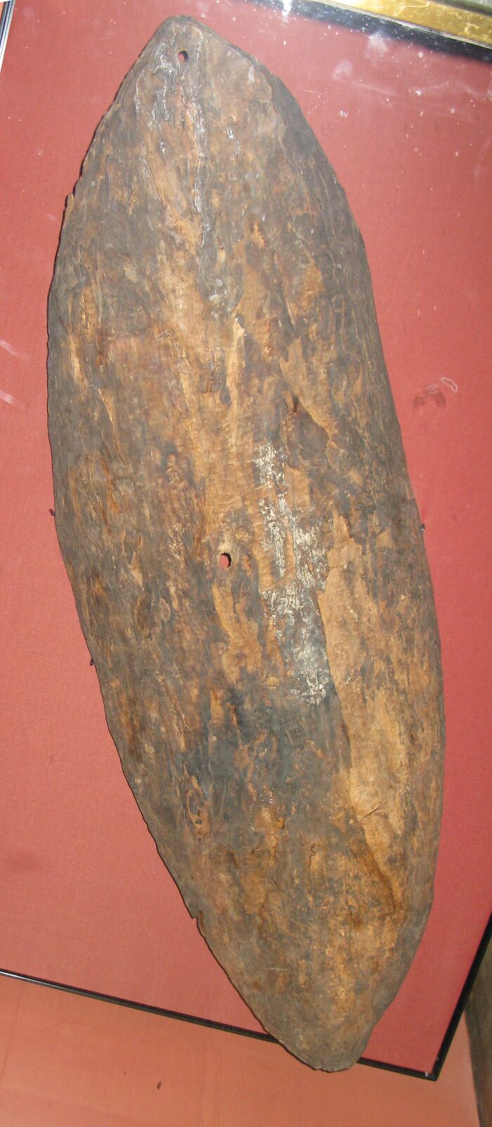 Worn wooden shield displayed as a foreign artifact held in the British Museum on red background.