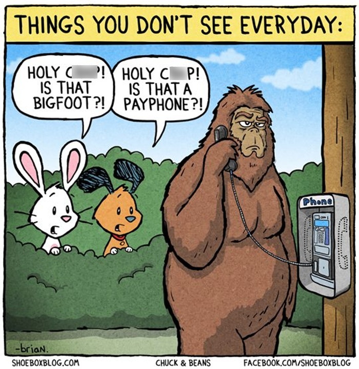 Bigfoot Or Payphone ?