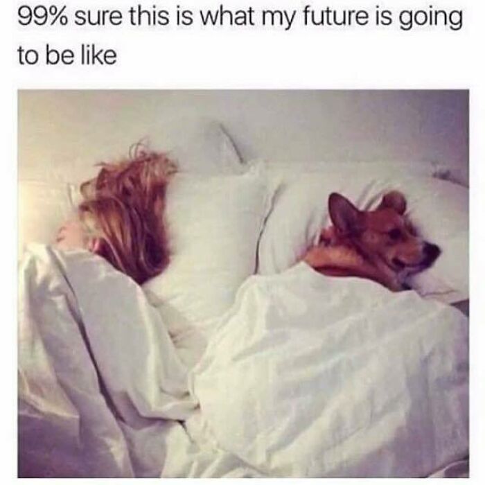 Partners in Snooze Crime