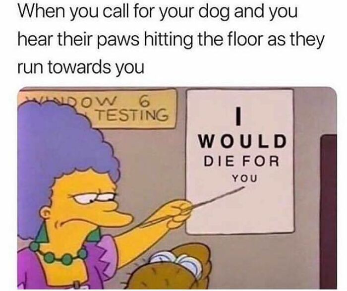 Cartoon character pointing to a sign that says I would die for you, paired with a relatable dog meme about hearing paws running.