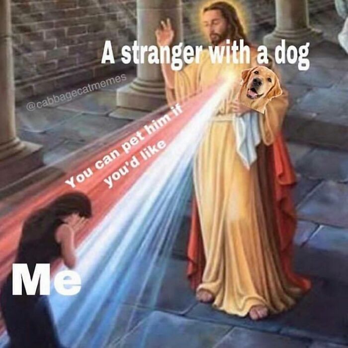 Person kneeling with head down, beams from a figure holding a dog’s head saying you can pet him if you'd like, funny dog meme.