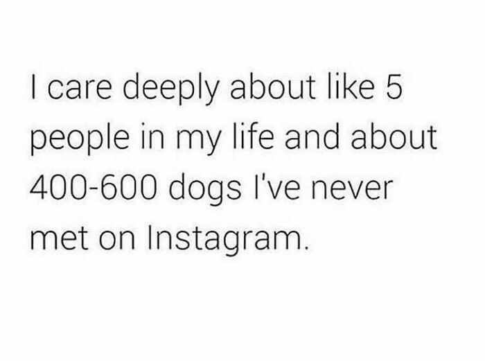 Text meme about caring deeply for a few people but hundreds of dogs seen in funny dog memes on Instagram.