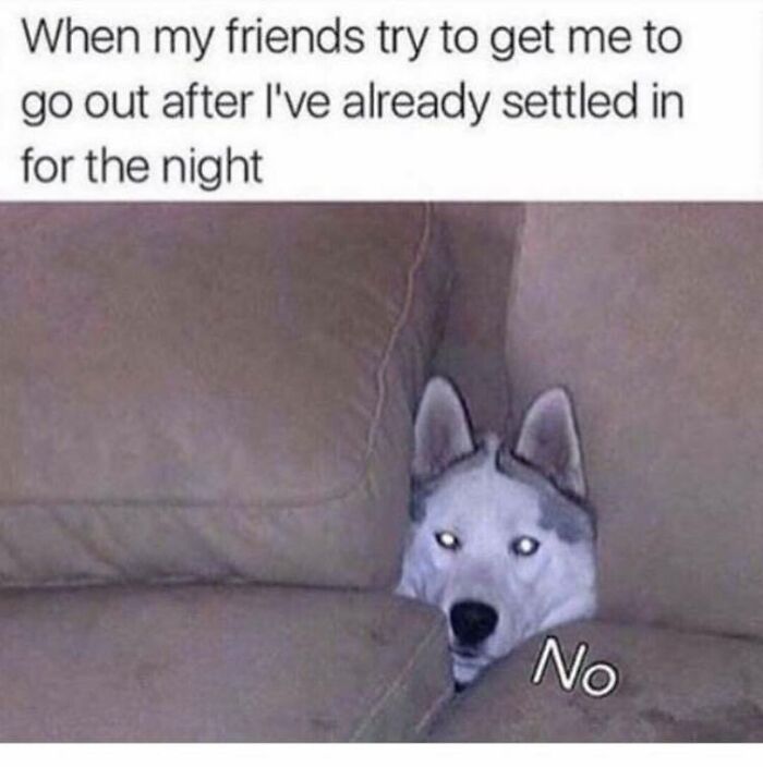 A husky dog peeking out from between couch cushions with glowing eyes and the word No, funny dog memes relatable.