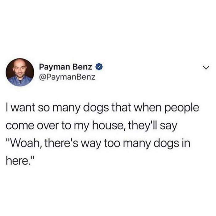 Screenshot of a tweet expressing the desire to have so many dogs that guests say there are too many dogs at the house.