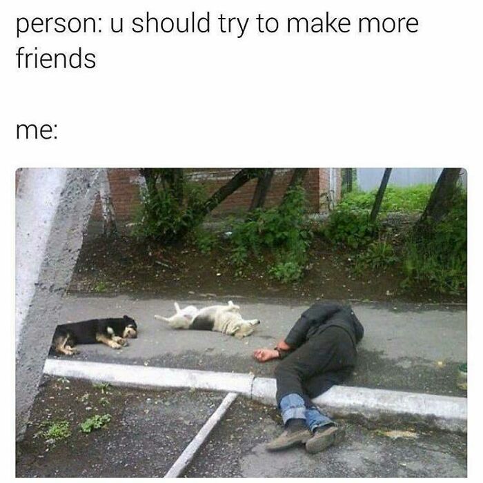 Perfectly Content Alone