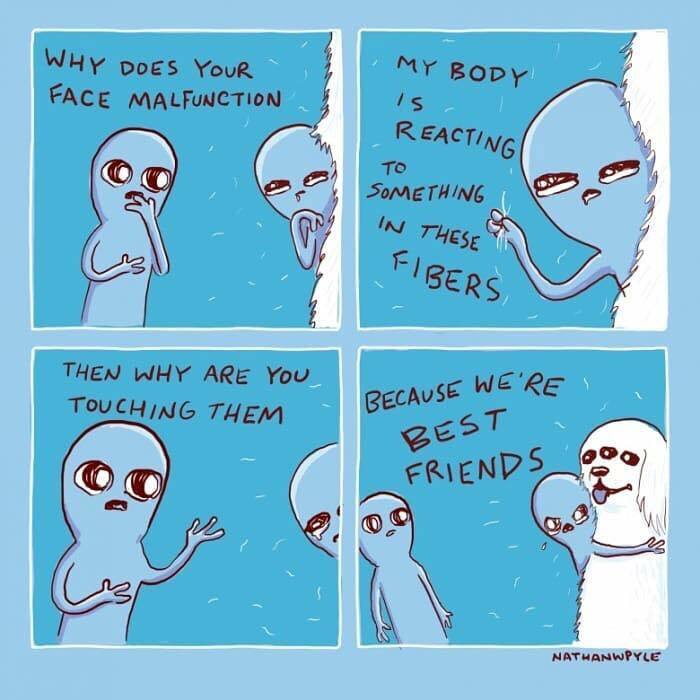 Cartoon of two blue characters and a white dog with text about face malfunction and friendship in a funny dog memes style.