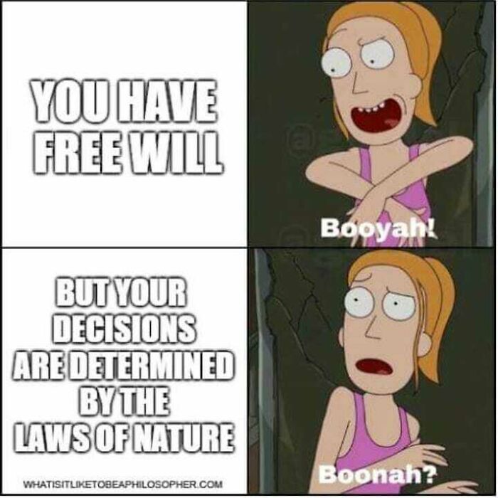 Philosophical meme showing a character reacting to free will versus determinism with humor and thought-provoking text.