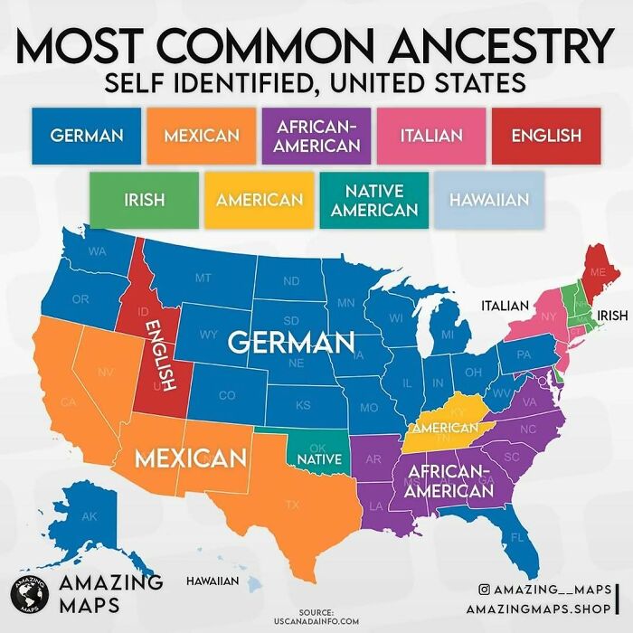 Color-coded map showing the most common ancestry in each US state with a focus on German, Mexican, and African-American origins.