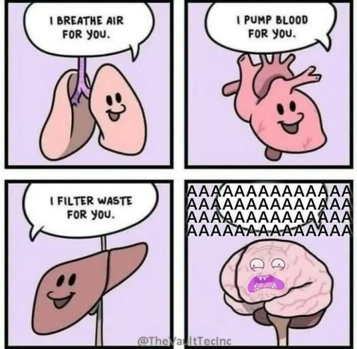 Cartoon organs expressing care with lungs, heart, liver, and a stressed brain in relatable nihilism memes.