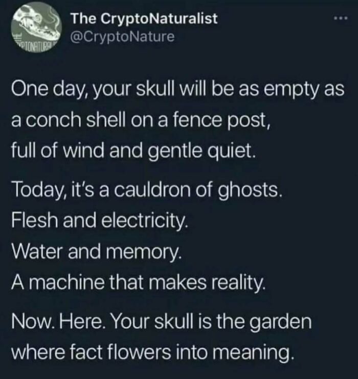 Text post about skull metaphors reflecting casual nihilism and the contrast between emptiness and meaning in human reality.