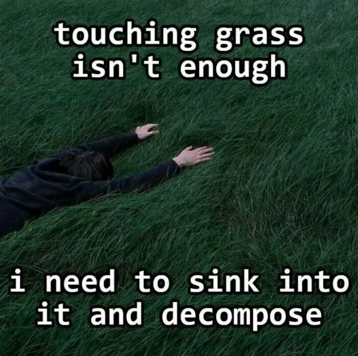 Person lying in dense grass with text about sinking into grass and decomposing, reflecting casual nihilism memes.