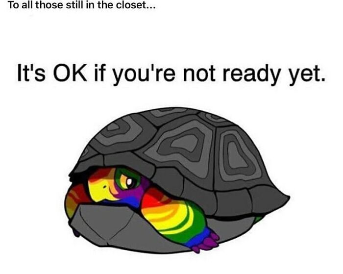 Turtle with rainbow colors peeking from its shell, symbolizing coming out and LGBTQ+ memes support for those not ready yet.