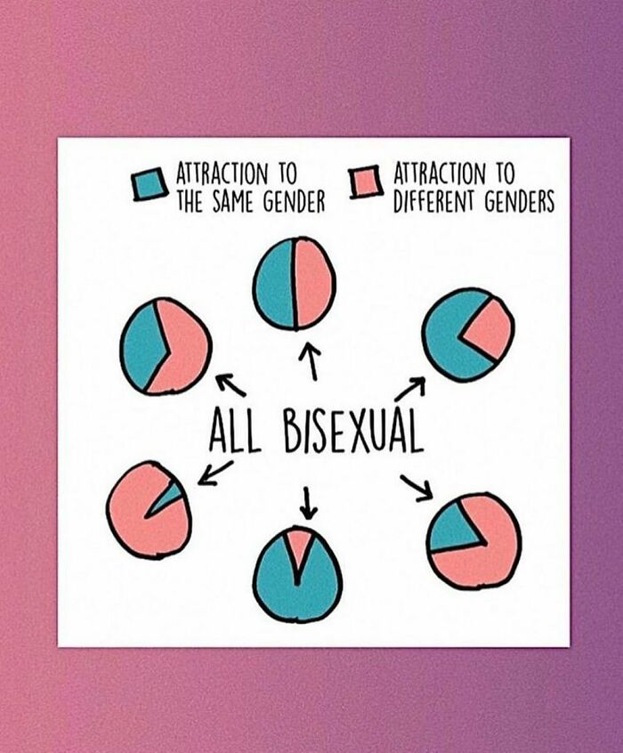 Diagram showing different patterns of attraction to the same and different genders, illustrating bisexuality for LGBTQ+ memes content.