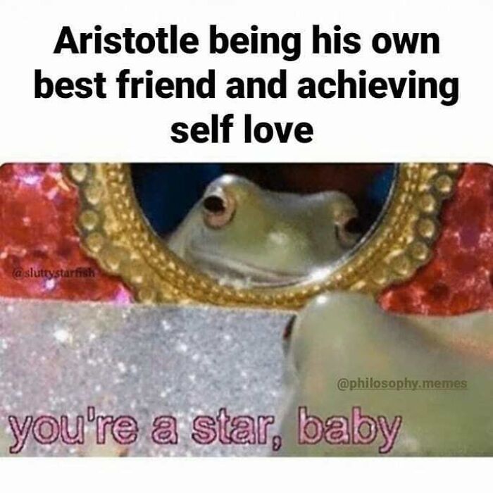 Frog looking in a mirror with text about Aristotle, self love, and a philosophical meme using main SEO keyword meme.
