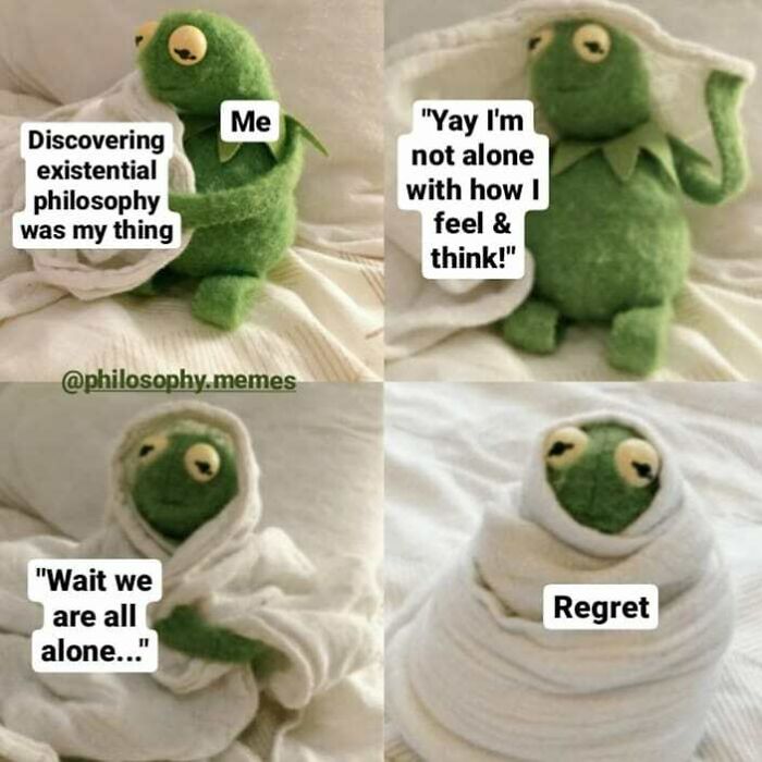 Kermit the Frog in four panels humorously exploring existential philosophy in a wrapped blanket, reflecting on solitude and regret.