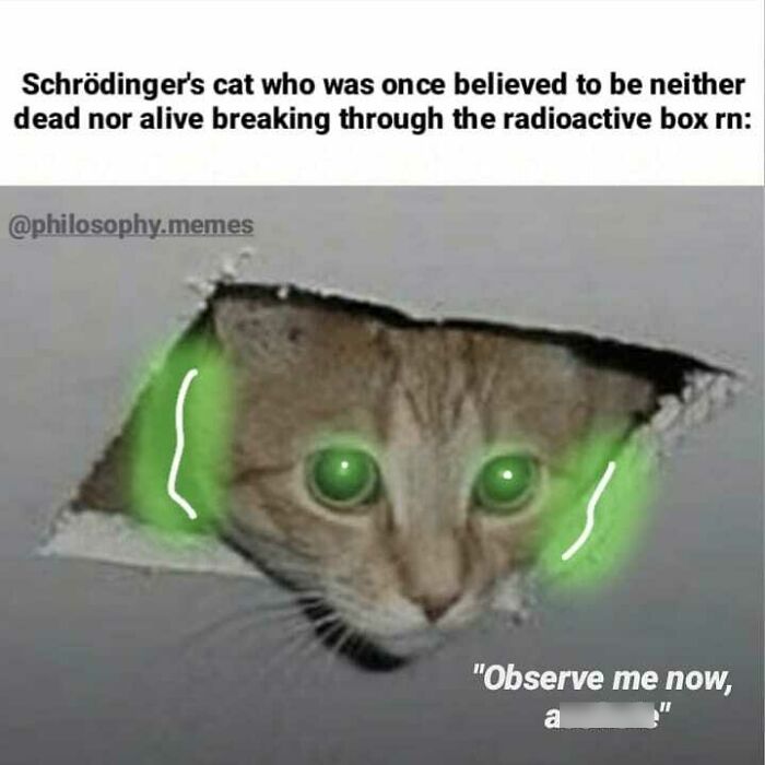 Cat with glowing green eyes poking through hole, a philosophical meme referencing Schrödinger's cat concept and internet memes.