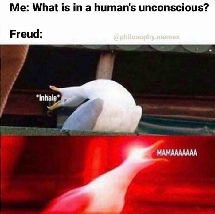 Philosophical meme showing a duck inhaling then screaming MAMAAAAAAA about the human unconscious mind.