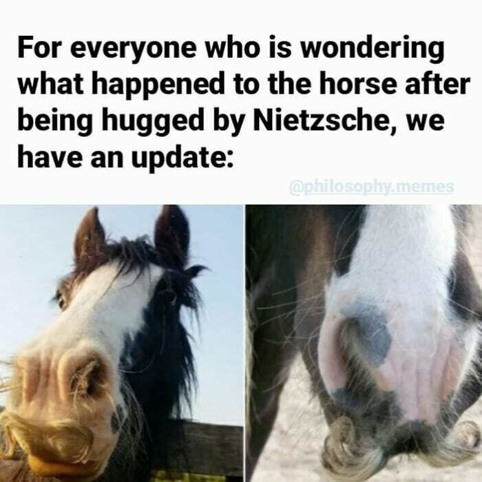 Philosophical meme about Nietzsche hugging a horse with close-up images of the horse’s face and mustache-like nose markings.