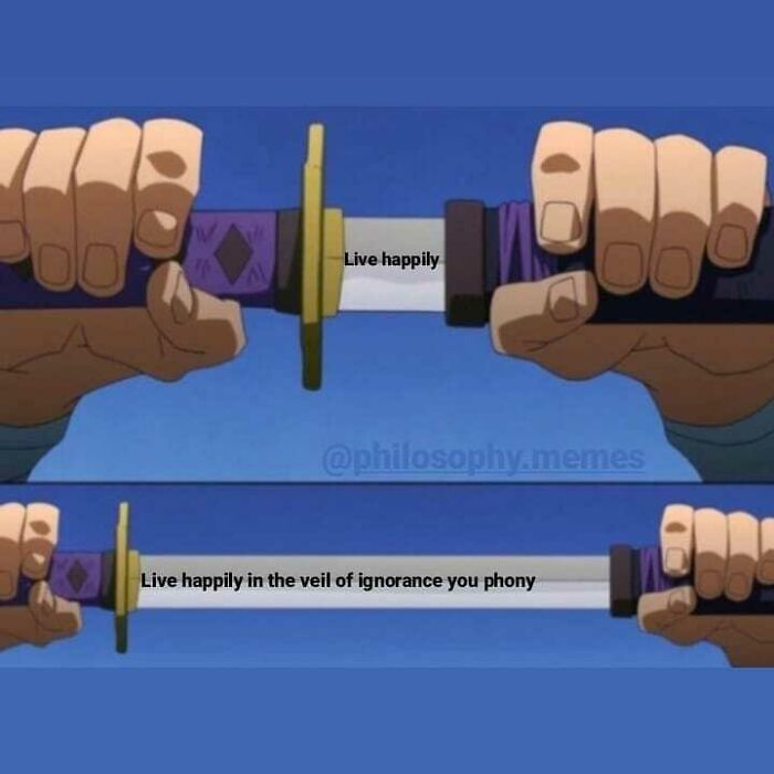 Anime-style hands holding a sword with philosophical memes text about living happily and ignorance in a thoughtful scene.