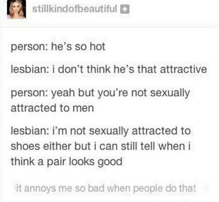 Text meme discussing a lesbian explaining attraction, featured on an LGBTQ+ memes Instagram page.