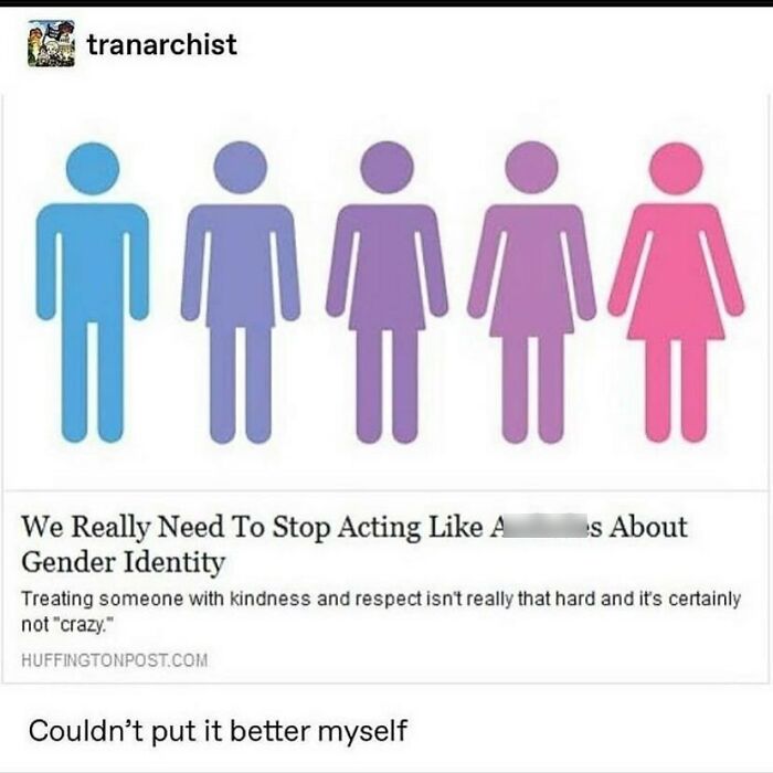 Illustration showing gender spectrum figures in blue to pink shades with a text emphasizing respect for gender identity in LGBTQ+ memes.