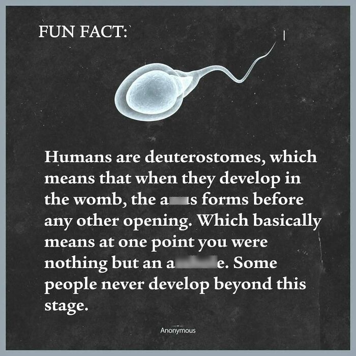 Medical meme showing a s***m with a fun fact about human development, highlighting humor in healthcare and biology concepts.