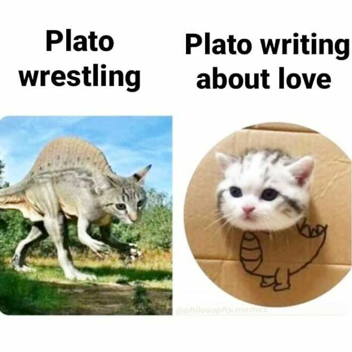 Humorous philosophical meme showing a fierce cat dinosaur and a cute kitten with cardboard dinosaur costume.