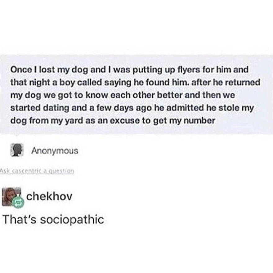 Text story about a boy who stole a dog as an excuse to get a phone number in totally true stories collection.