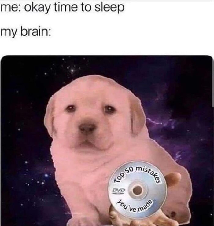 A social anxiety meme showing a dog holding a DVD labeled top 50 mistakes you've made with a space background.