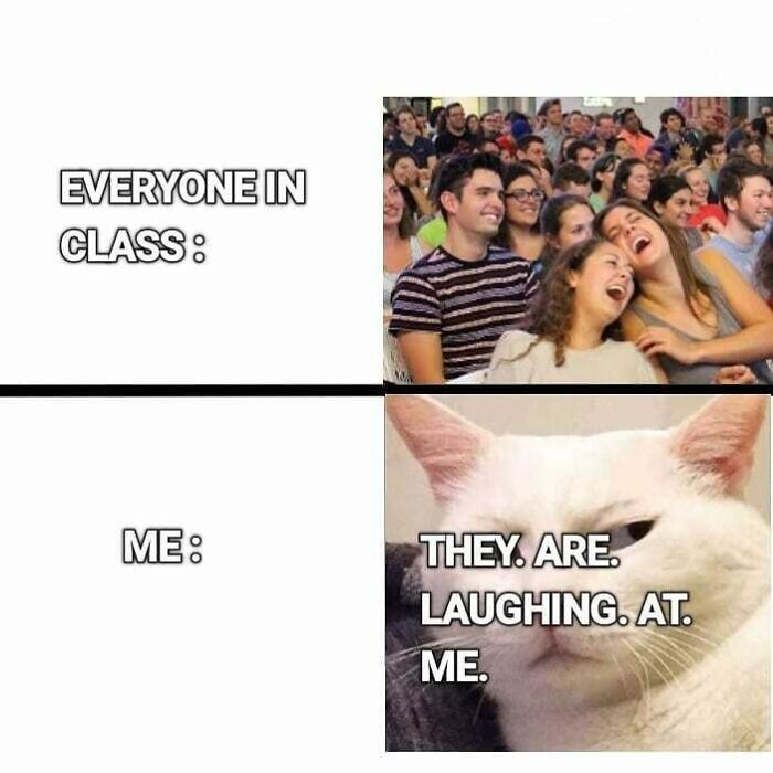 Group of students laughing together in class contrasted with a cat looking anxious, illustrating social anxiety memes concept.
