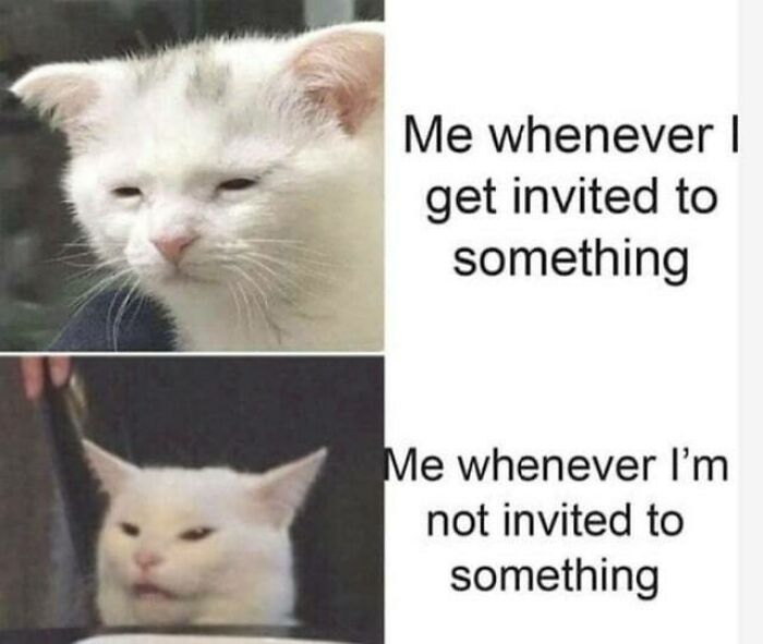 Two-panel meme showing a white cat looking anxious when invited and indifferent when not invited, illustrating social anxiety memes.