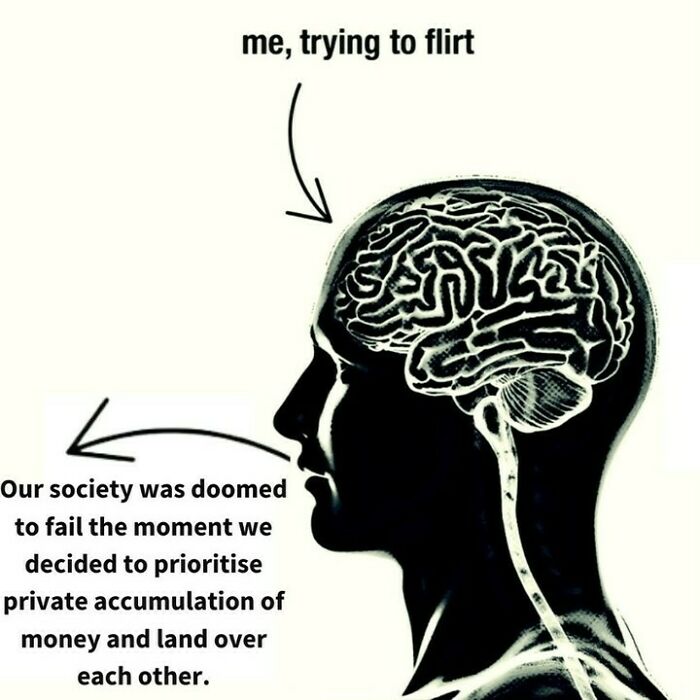 Silhouette of human brain with text illustrating casual nihilism and social critique about money and land prioritization.