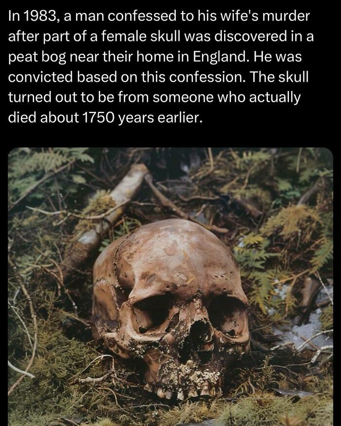 Female skull discovered in a peat bog near England linked to a wrongful m****r confession in 1983.