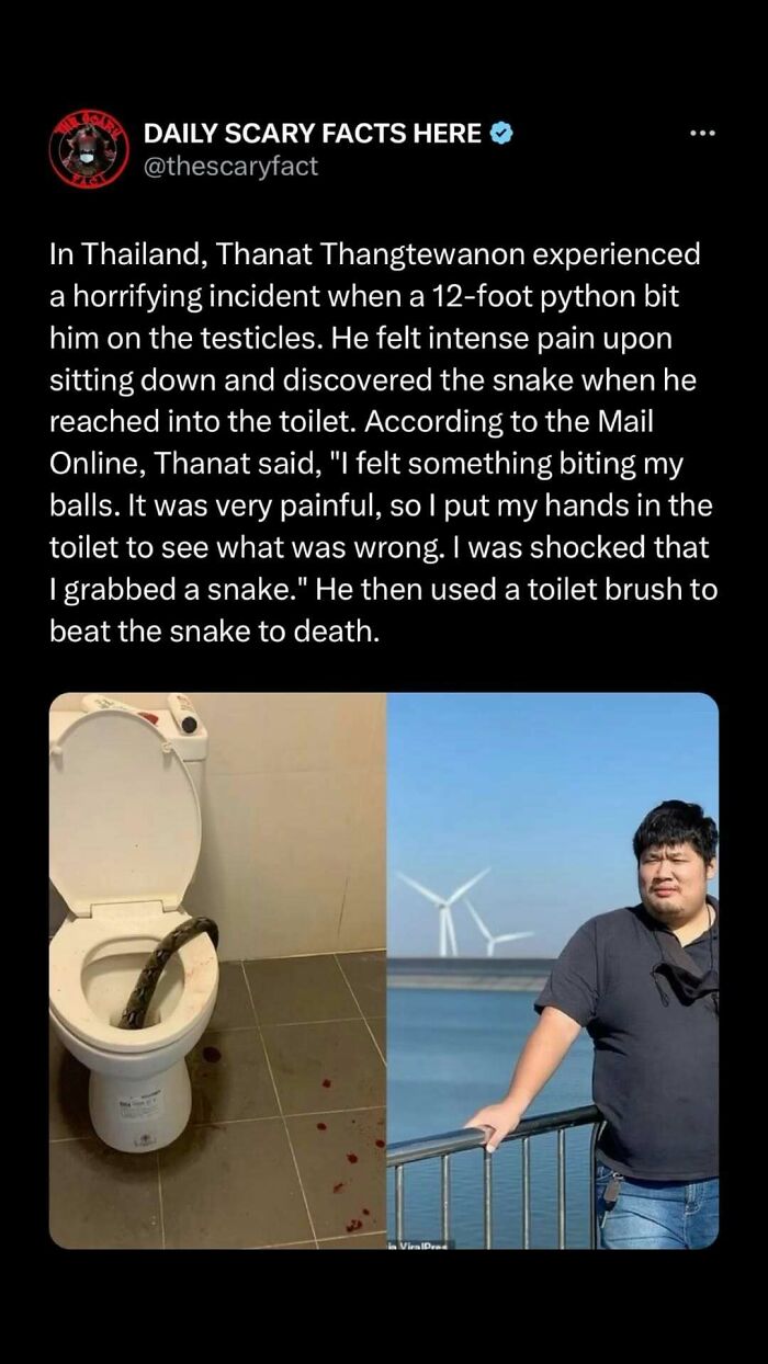 Twitter post describing a scary fact about a man bitten by a python in a toilet, with images of the scene and the man.