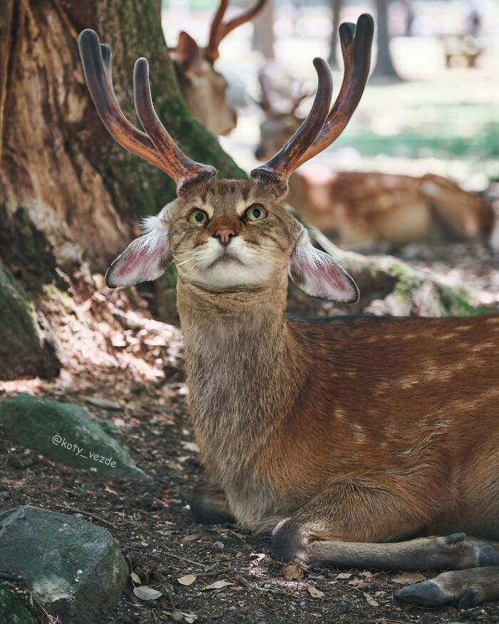 Deer with a cat face and antlers in a forest, blending hilarious and slightly creepy cat face effects.