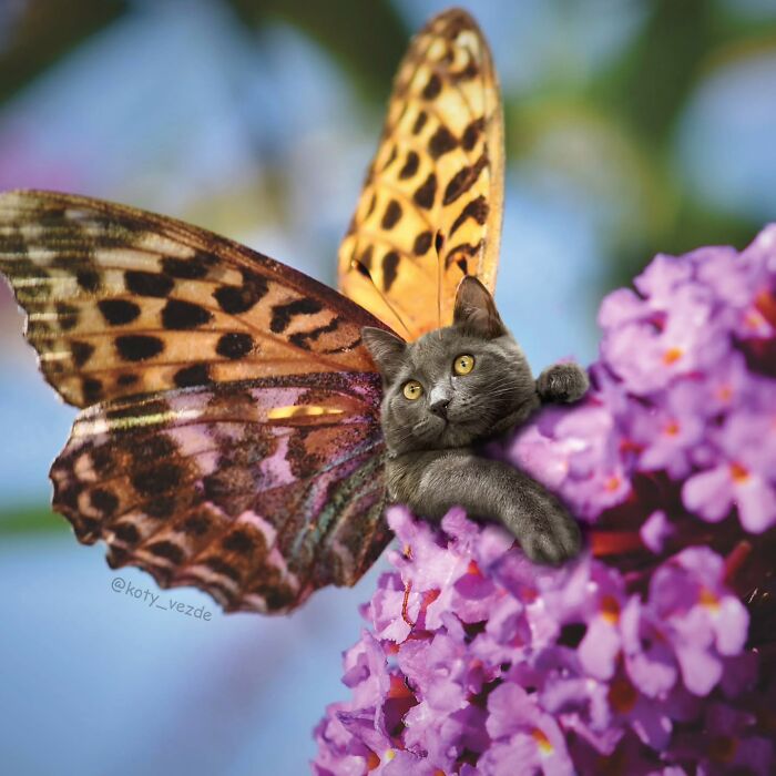 A surreal image showing a butterfly with a cat face resting on vibrant purple flowers, blending hilarious and slightly creepy elements.