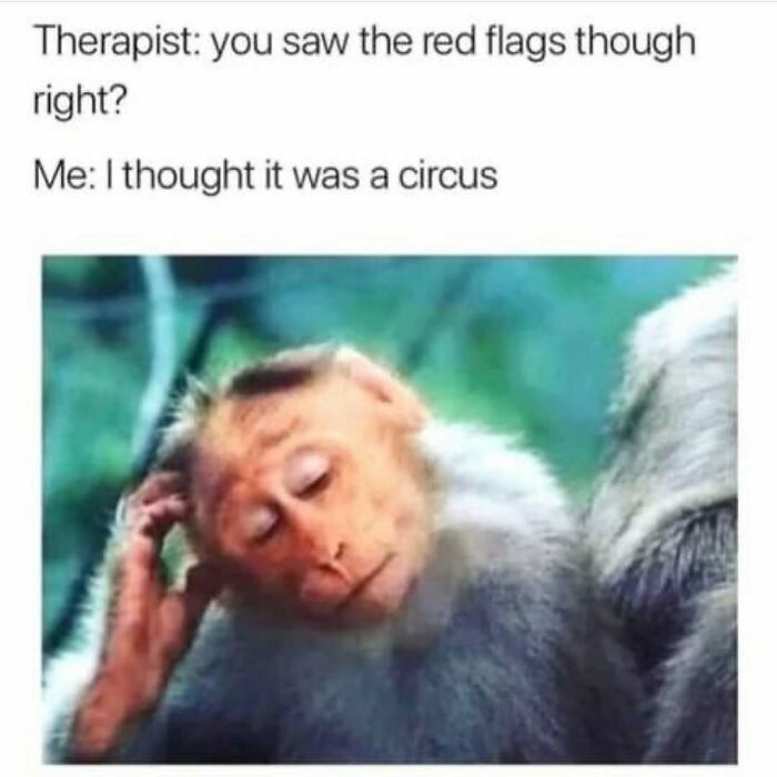 Monkey scratching head with caption about ignoring red flags, a relatable friendship meme for sharing with best friends.