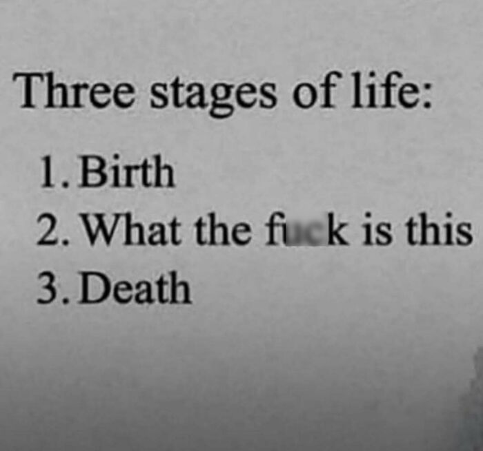 Text meme listing three stages of life as birth, confusion, and death, reflecting casual nihilism humor and relatable memes.