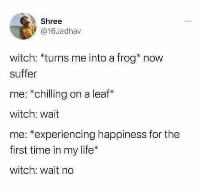 Meme text conversation showing casual nihilism humor about a witch turning someone into a frog and unexpected happiness.