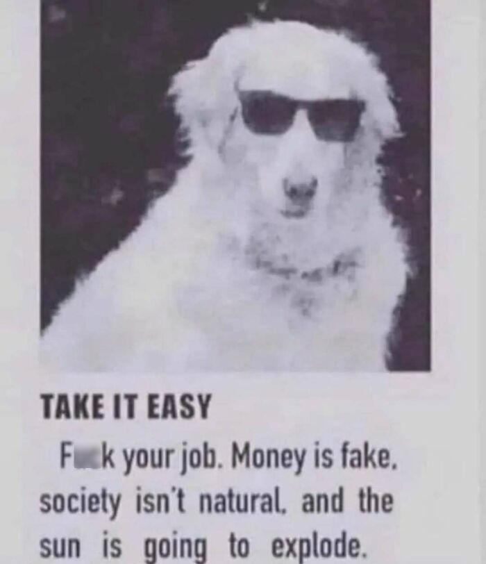 White dog wearing sunglasses with casual nihilism meme text about rejecting society and money.