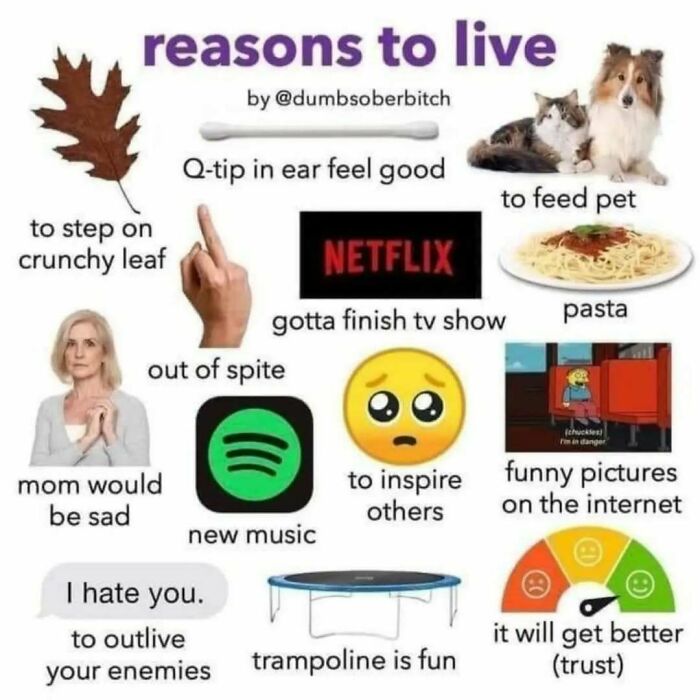 Reasons to live meme with relatable images including pets, Netflix, pasta, music, and inspiration from casual nihilism.