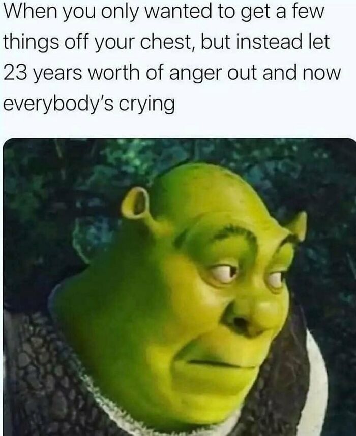 Shrek meme showing a relatable friendship moment about letting out years of anger and making everyone cry.