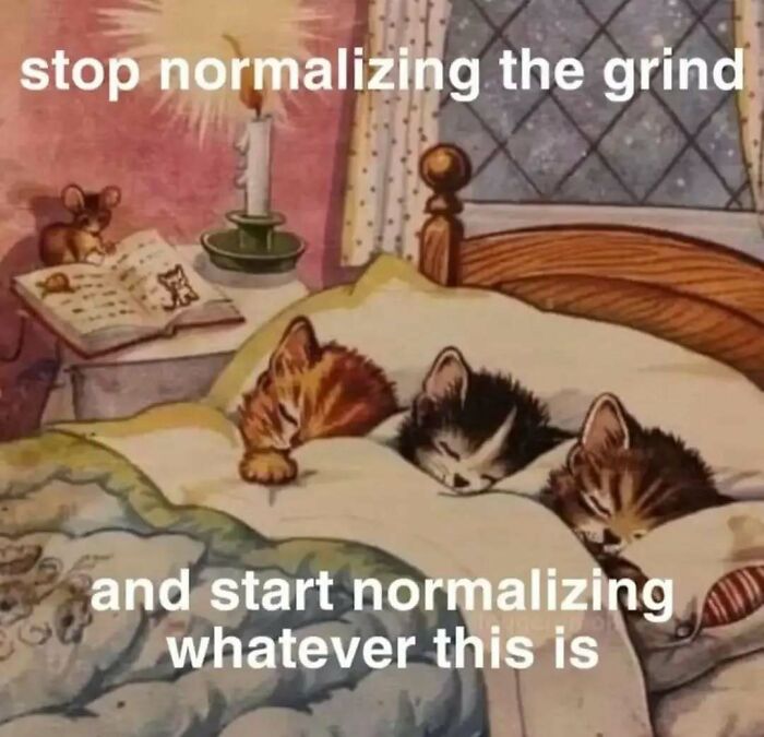 Three kittens sleeping peacefully in a cozy bed, highlighting relatable memes about casual nihilism and daily grind.