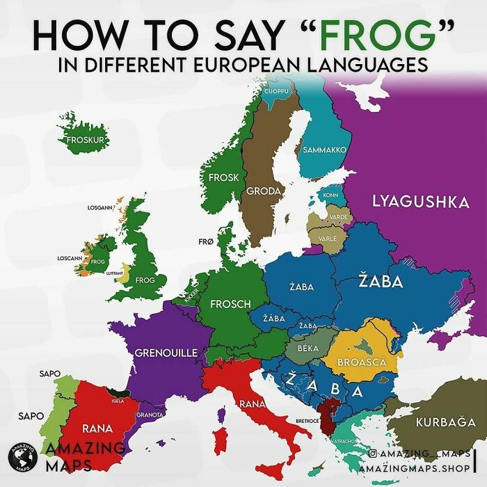 Map showing how to say frog in different European languages, highlighting linguistic diversity across the continent.