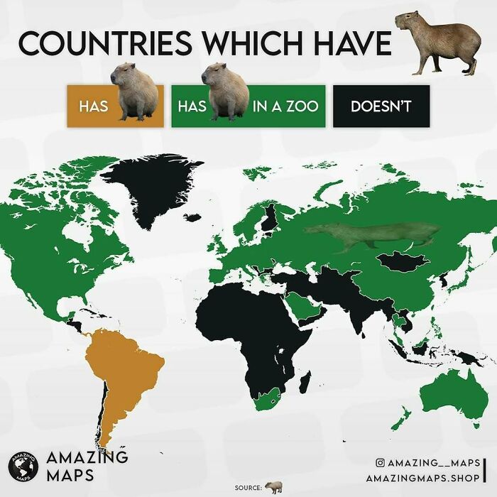 World map showing countries with capybaras, color-coded by presence in the wild or in zoos, from amazing maps collection.