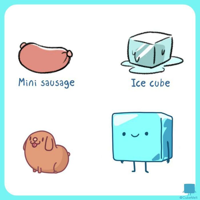 Cute comic illustration showing a smiling ice cube character and its struggles beside a mini sausage and dog.