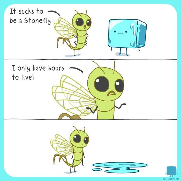 Comic strip showing an ice cube and a stonefly discussing the struggles of limited time and melting quickly.