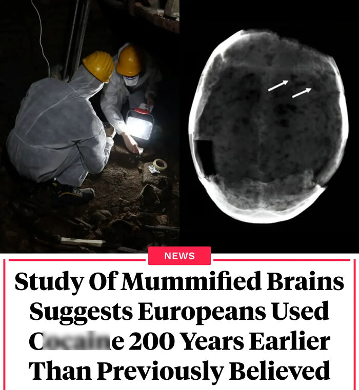 Researchers in protective gear studying mummified brains reveal new interesting facts about ancient European d**g use.
